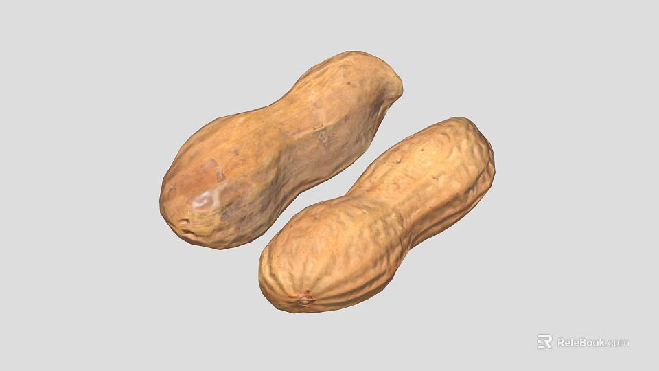 Organic Fresh Brown Peanuts With Natural Surface Texture For Healthy Snacking 3d model 
