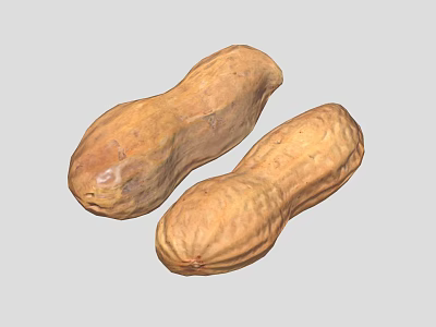 Organic Fresh Brown Peanuts With Natural Surface Texture For Healthy Snacking 3d model