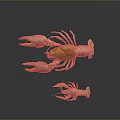 Realistic Large Lobster and Small Crayfish on Gray Background With Reflection 3d model