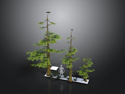 Three Different Height Pine Trees With White Silhouette On White Base Against Black Background 3d model