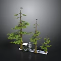 Three Different Height Pine Trees With White Silhouette On White Base Against Black Background