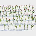 Various Colored Flowers With Green Stems And Leaves On White Background