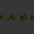 Four Green Trees with Different Shapes and Brown Trunks Against Gray Background and Ground Reflections