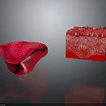 Red Petal Like Object And Detailed Internal Structured Block 3D Rendering With Textured Surface 3d model