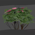 Elegant Pink Flowers In Decorative Vase With Green Leaves For Home Decor