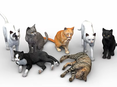 Realistic Cat 3d model