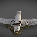 Modern Plane Crash Scan 3d model