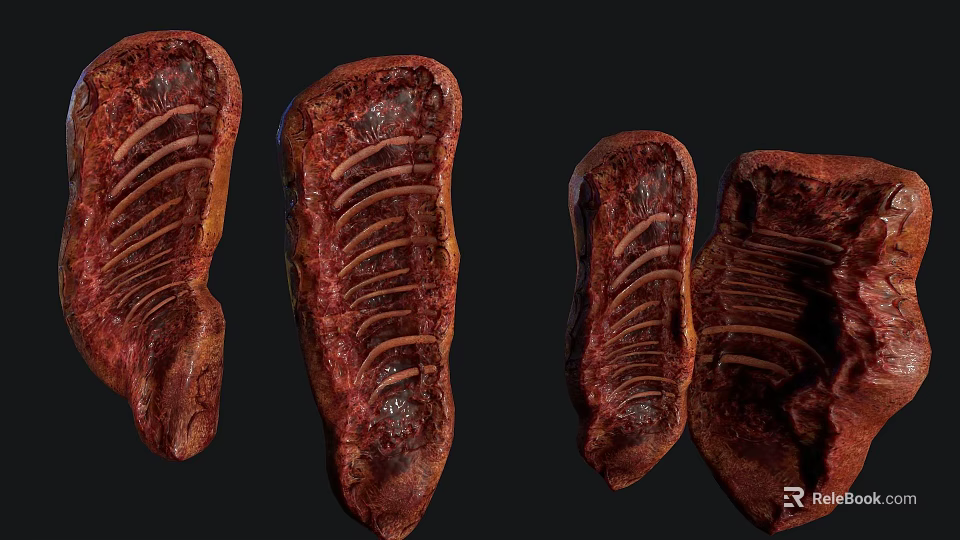 Fresh Raw Ribs With Juicy Meat And Visible Rib Bone Structure 3d model 