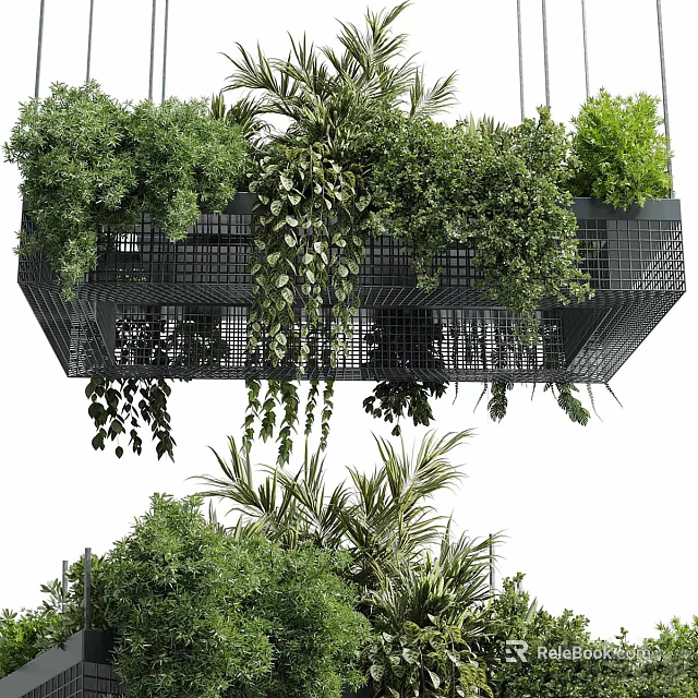 Hanging Basket Plants With Metal Frame And Lush Trailing Vines For Indoor Decoration 3d model 