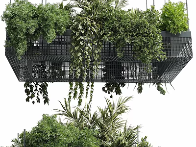 Hanging Basket Plants With Metal Frame And Lush Trailing Vines For Indoor Decoration 3d model