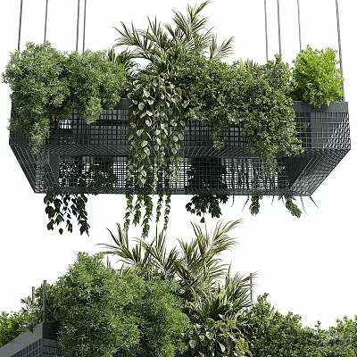Hanging Basket Plants With Metal Frame And Lush Trailing Vines For Indoor Decoration 3d model