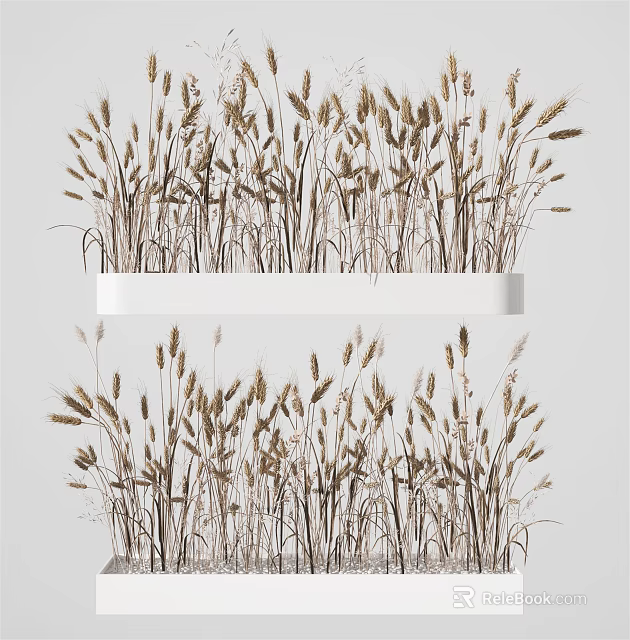 Dried Wheat Grass Bonsai Plant In White Rectangular Pot For Home Decor 3d model 