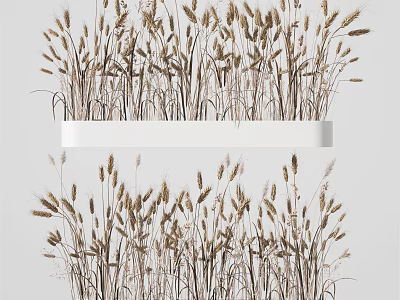 Dried Wheat Grass Bonsai Plant In White Rectangular Pot For Home Decor 3d model