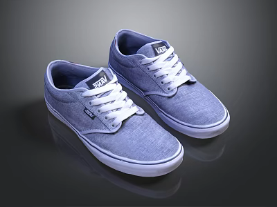 Modern Shoes Board Shoes Cloth Shoes Canvas Shoes 3d model