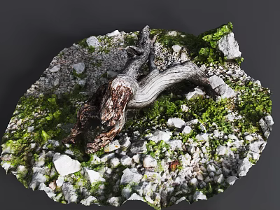 Natural Stone And Wood Decorative Scene With Green Moss And Small Pebbles 3d model