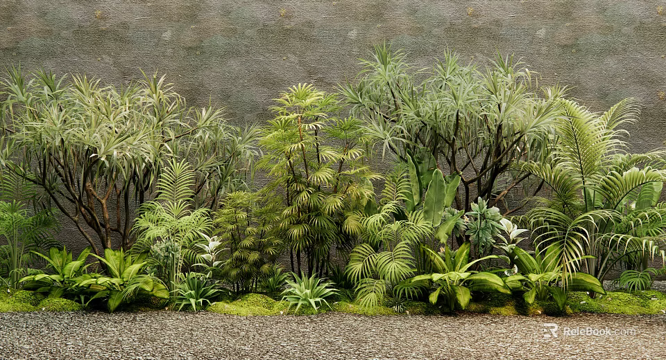 Various Green Plants And Flowers In Small Garden With Grey Wall And Stone Path 3d model 