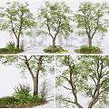Modern Tree Landscape Tree 3d model