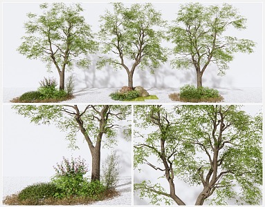 Modern Tree Landscape Tree 3d model