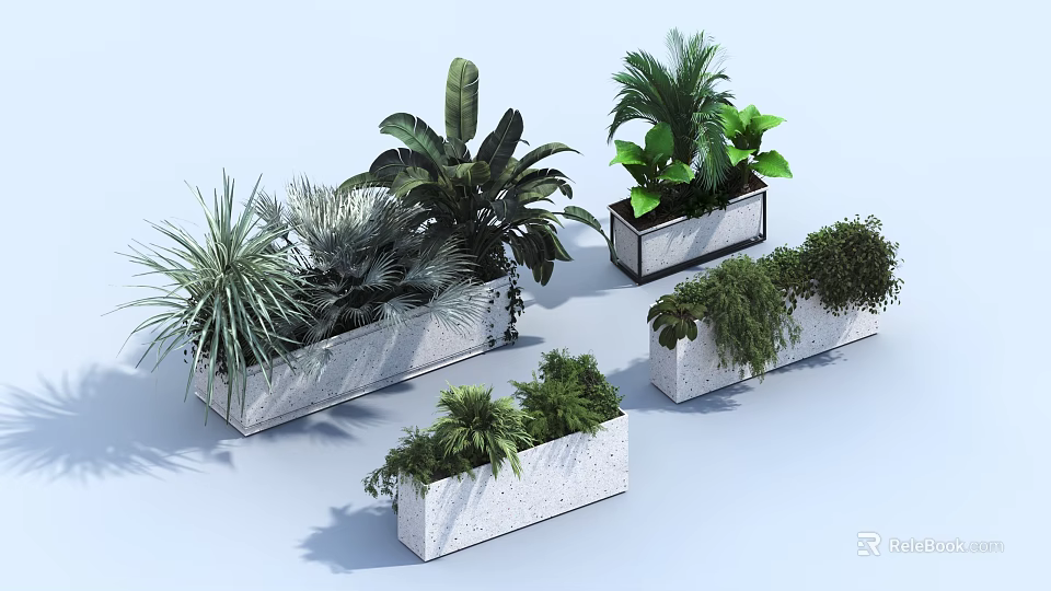Bonsai Potted Plants In White Rectangular Concrete Planters With Tropical Ferns Palm And Shrub Varieties 3d model 