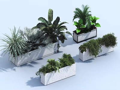 Bonsai Potted Plants In White Rectangular Concrete Planters With Tropical Ferns Palm And Shrub Varieties 3d model