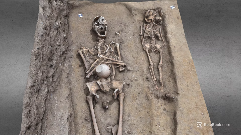 Two Ancient Human Skeletons Discovered In Archaeological Burial Excavation Site 3d model 