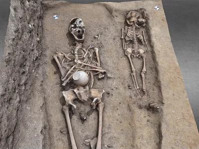 Two Ancient Human Skeletons Discovered In Archaeological Burial Excavation Site 3d model