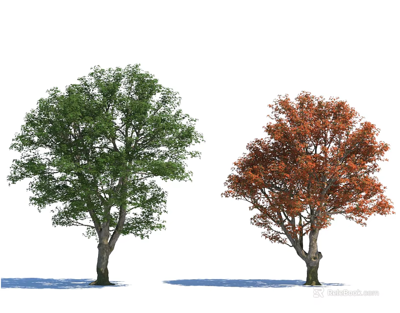 Two Lush Arbor Trees With Green And Vibrant Orange Red Leaves 3d model 