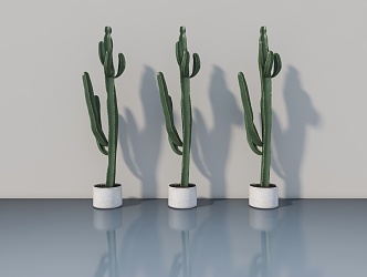 potted plant ornaments 3d model