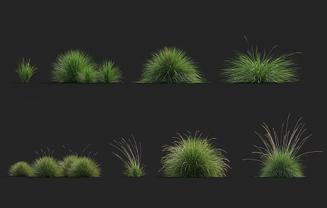 modern grass flowers 3d model