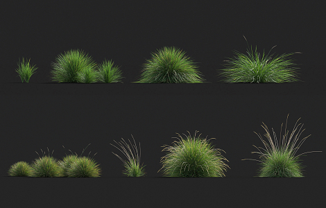 modern grass flowers 3d model