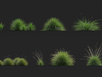 modern grass flowers 3d model