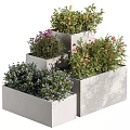 Colorful Potted Plants In Gray Concrete Planters With Various Heights Stepped Arrangement And Vibrant Flowers