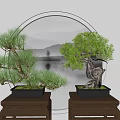 Bonsai Plants Displayed On Wooden Tables With Circular Landscape Background Decoration