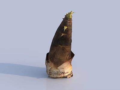 Fresh Bamboo Shoot Vegetable With Natural Skin And Green Sprouts On White Background 3d model