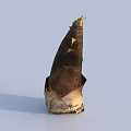 Fresh Bamboo Shoot Vegetable With Natural Skin And Green Sprouts On White Background