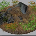 Natural Garden Ornament with Tree Stump Dry Grass and Green Orange Ferns Plants