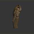 Owl grimace owl long-eared owl wulin owl monkey face owl carved owl 3d model