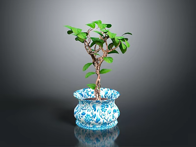 Healthy Small Tree with Green Leaves in Blue and White Patterned Pot on Dark Background 3d model