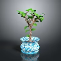 Healthy Small Tree with Green Leaves in Blue and White Patterned Pot on Dark Background