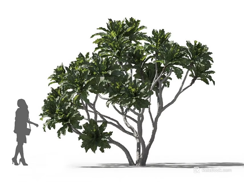 Green Arbor With Lush Foliage And Multi Branched Trunk Near Person Silhouette 3d model 