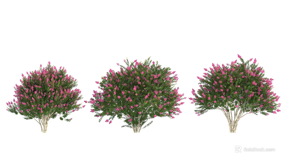 Arbor Trees With Lush Foliage And Dense Pink Flowers For Garden Landscaping 3d model 