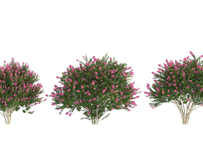 Arbor Trees With Lush Foliage And Dense Pink Flowers For Garden Landscaping 3d model