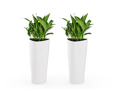 Two Potted Plants With Lush Green Leaves In White Tall Planters 3d model