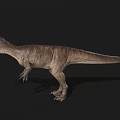 Realistic Carnivorous Dinosaur 3D Model With Open Mouth And Textured Skin