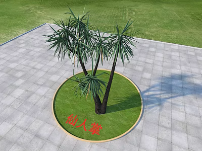 Cactus Plant Growing In Circular Grassy Area With Gray Tiled Ground And Green Lawn Background 3d model