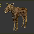Detailed Realistic Young Brown Moose Calf Standing Against Gray Background