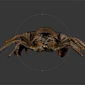 Detailed Brown Aquatic Animal Crayfish With Prominent Claws And Segmented Body Isolated On Dark Background