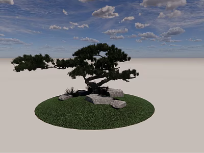 Pine Tree on Green Lawn with Rocks under Blue Sky and White Clouds 3d model