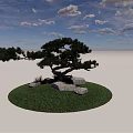 Pine Tree on Green Lawn with Rocks under Blue Sky and White Clouds 3d model