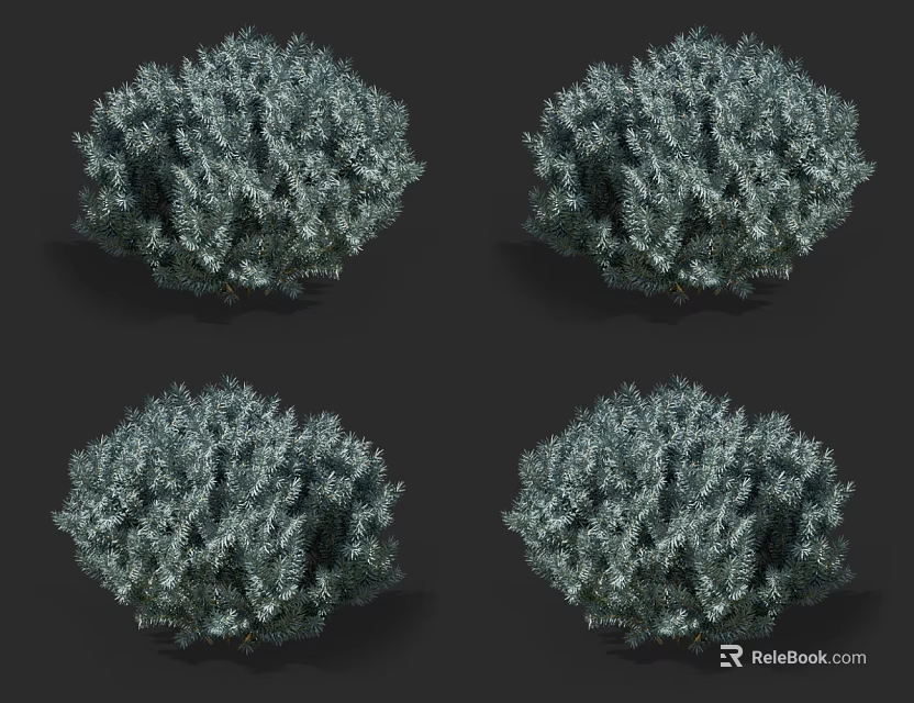 Evergreen Shrubs With Round Shape And Dense Foliage 3D Render 3d model 